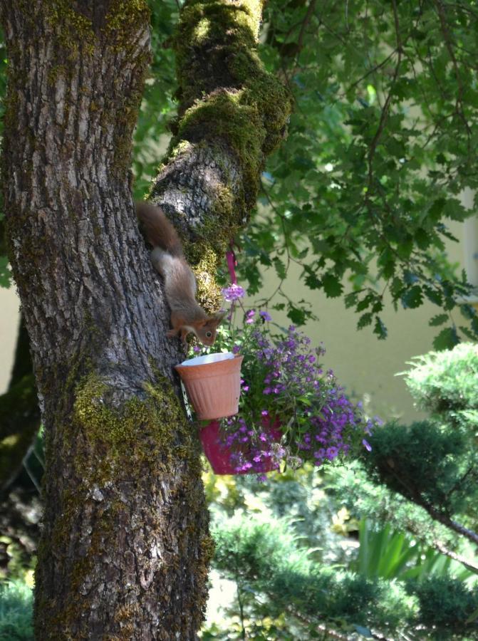 Les Gites De Lescurou Limogne-en-Quercy Ngoại thất bức ảnh